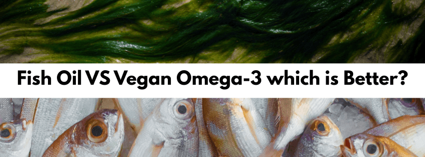Fish Oil vs Vegan Omega-3: Which Is Better?