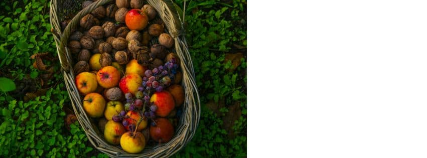 Why Nutrient Deficiencies Are Increasing Despite Better Food Availability