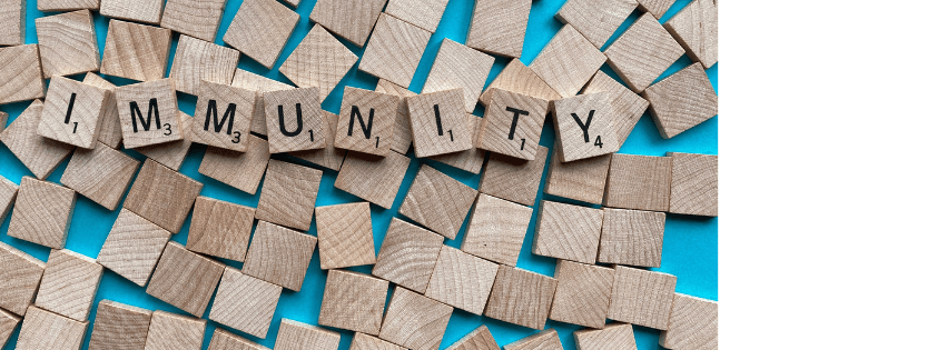 Does Gut Health Affect Your Immunity?