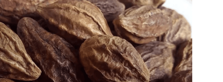What Is Haritaki (Harad) and How Does It Help Digestion?